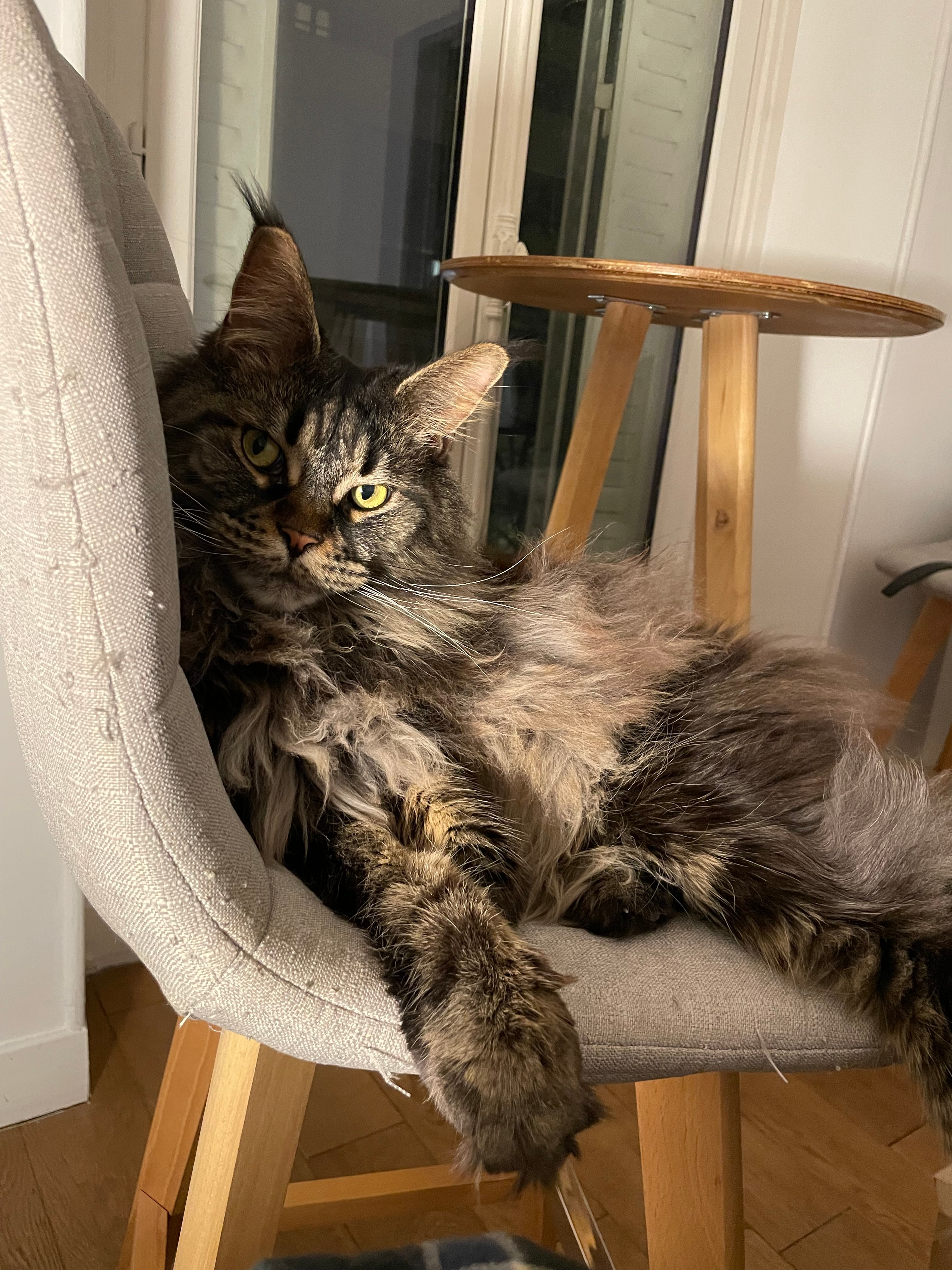 Swahili, my little princess