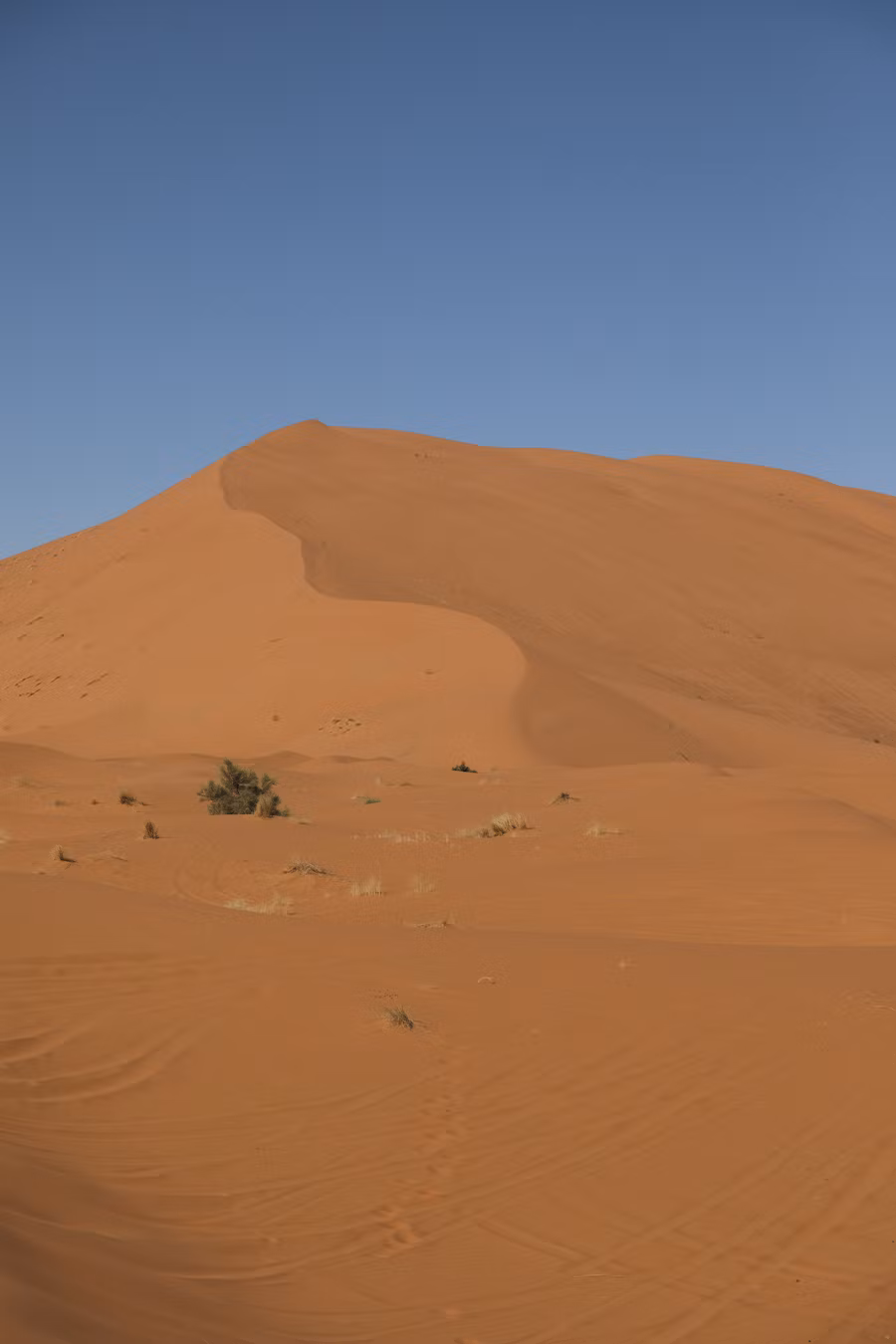 Desert